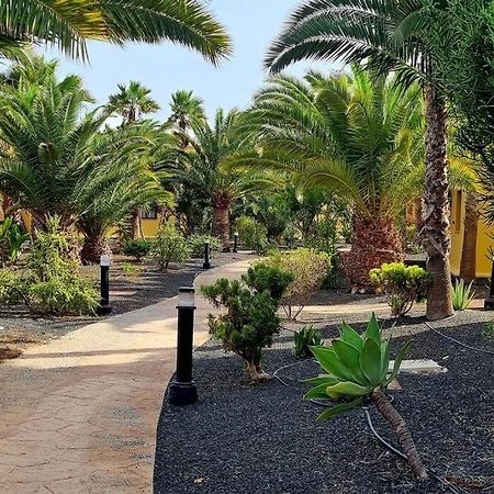 Appartamento Frangipani Con Terrazza E Piscina Corralejo Zewnętrze zdjęcie