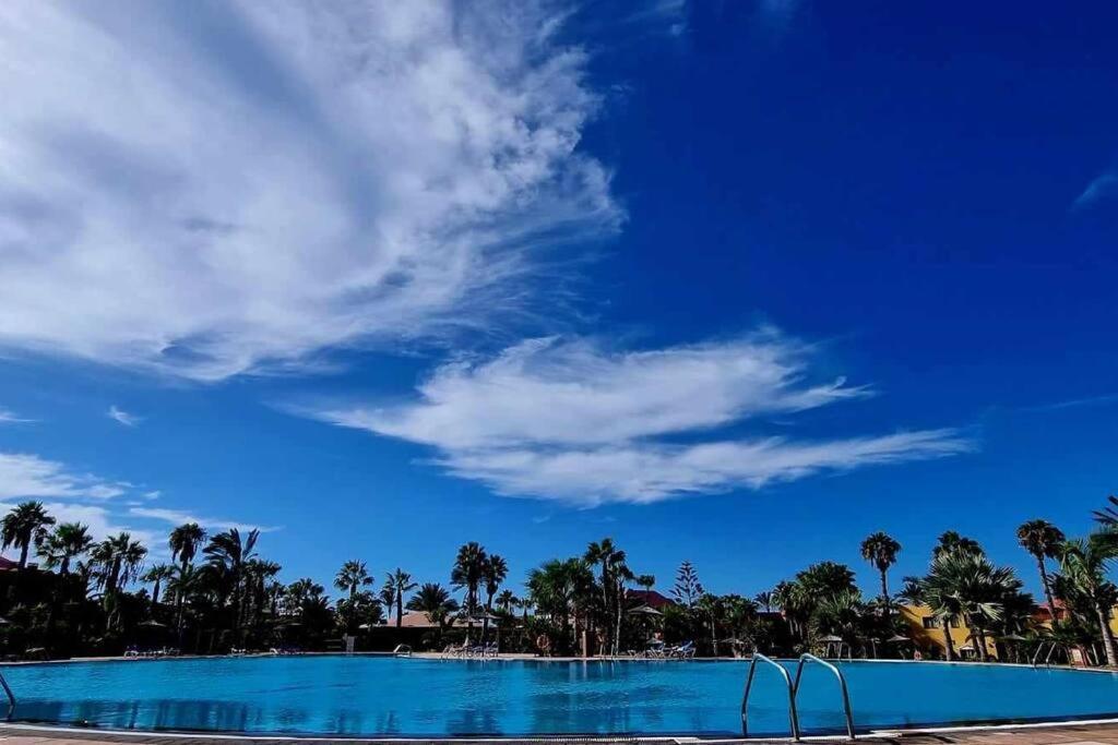 Appartamento Frangipani Con Terrazza E Piscina Corralejo Zewnętrze zdjęcie